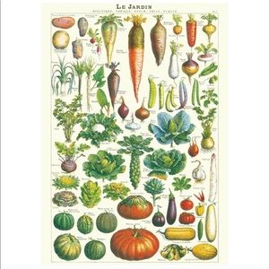 🥬Cavallini & Co. Le Jardin Vintage Image Garden Chart, 20" x 28" - NWT